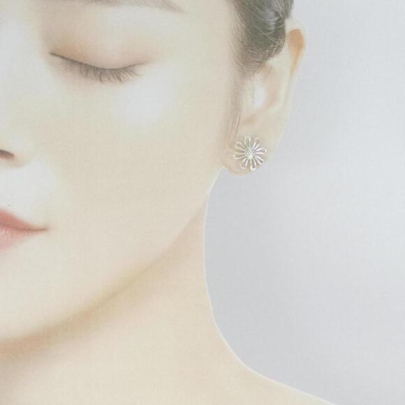 TIFFANY & CO. Silver Earrings - Picture 4 of 4